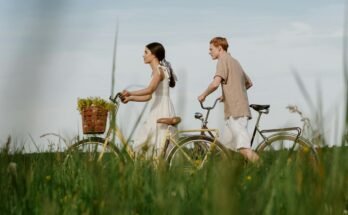 THE RELATIONSHIP BETWEEN ENVIRONMENT AND HEALTH